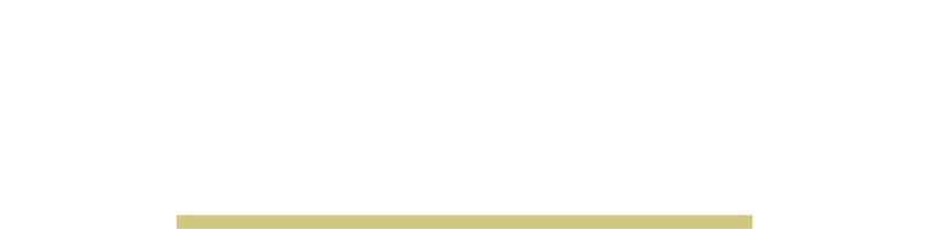 Premier Experience
